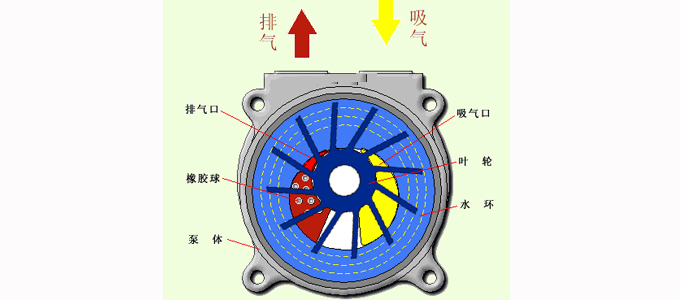 液環(huán)真空泵原理圖
